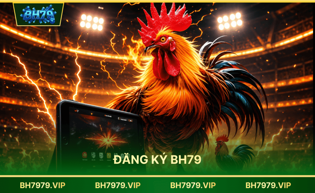 BH79 VIP - BH7979 VIP